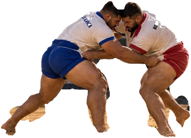 Luchadores de brega canaria